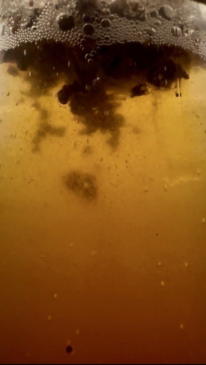 Raydiant Ferments Coffee Kombucha