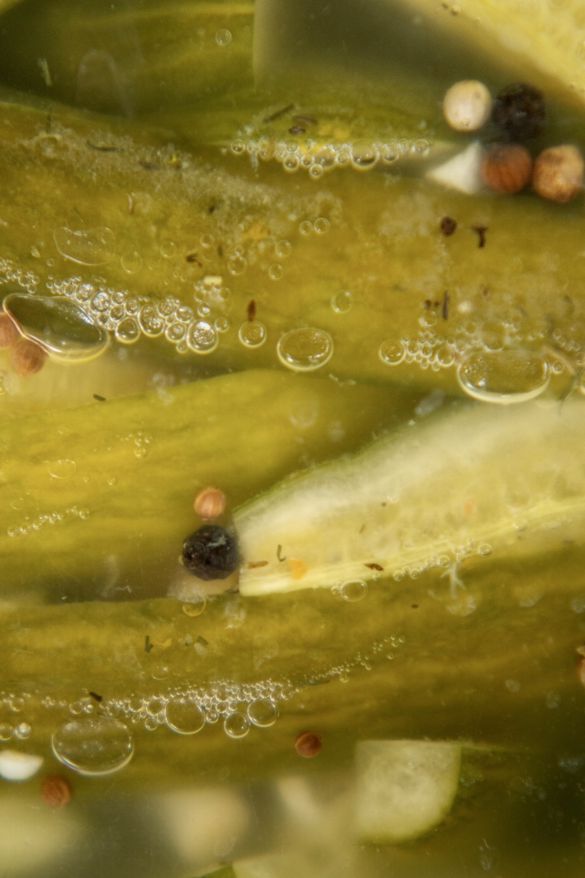 Raydiant Ferments Citrus & Herb Cucumbers