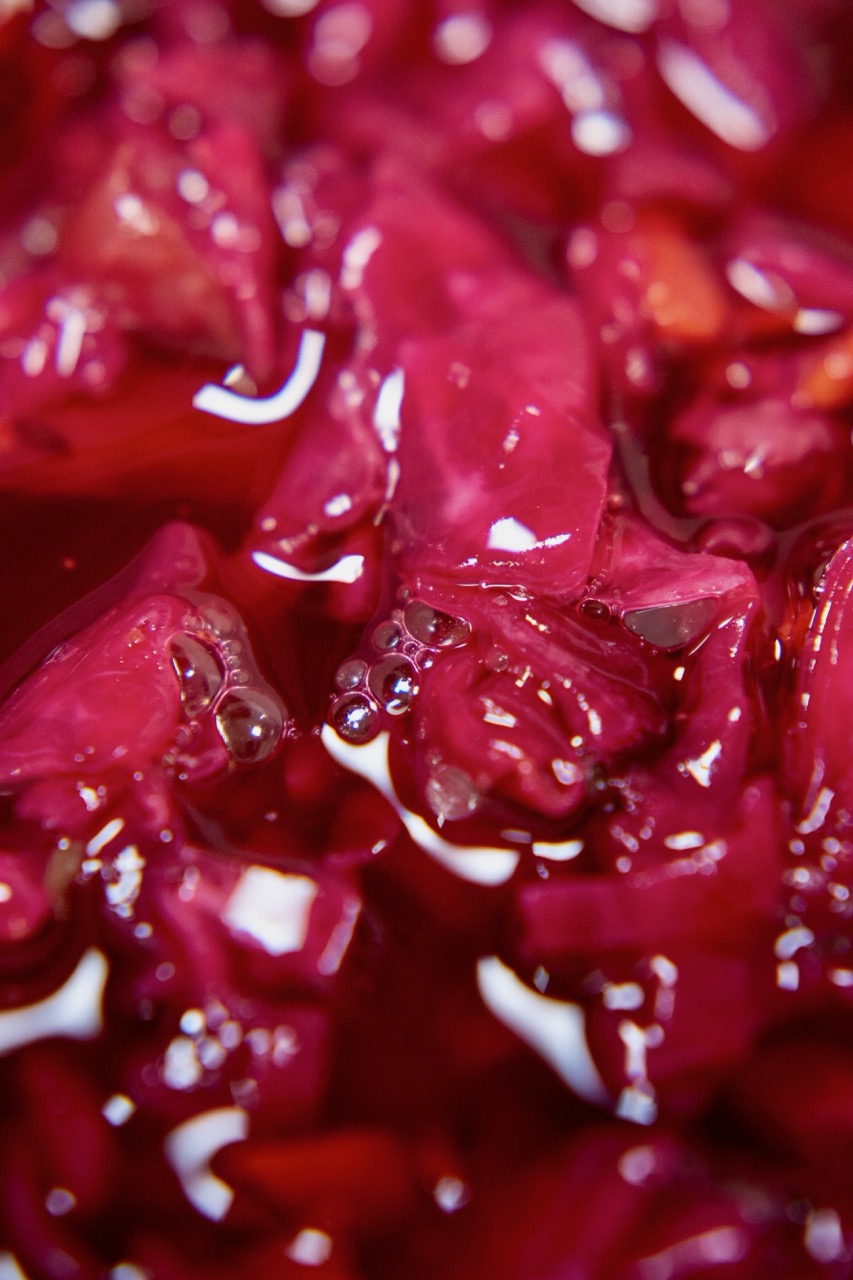 Raydiant Ferments Huckleberry Sauerkraut