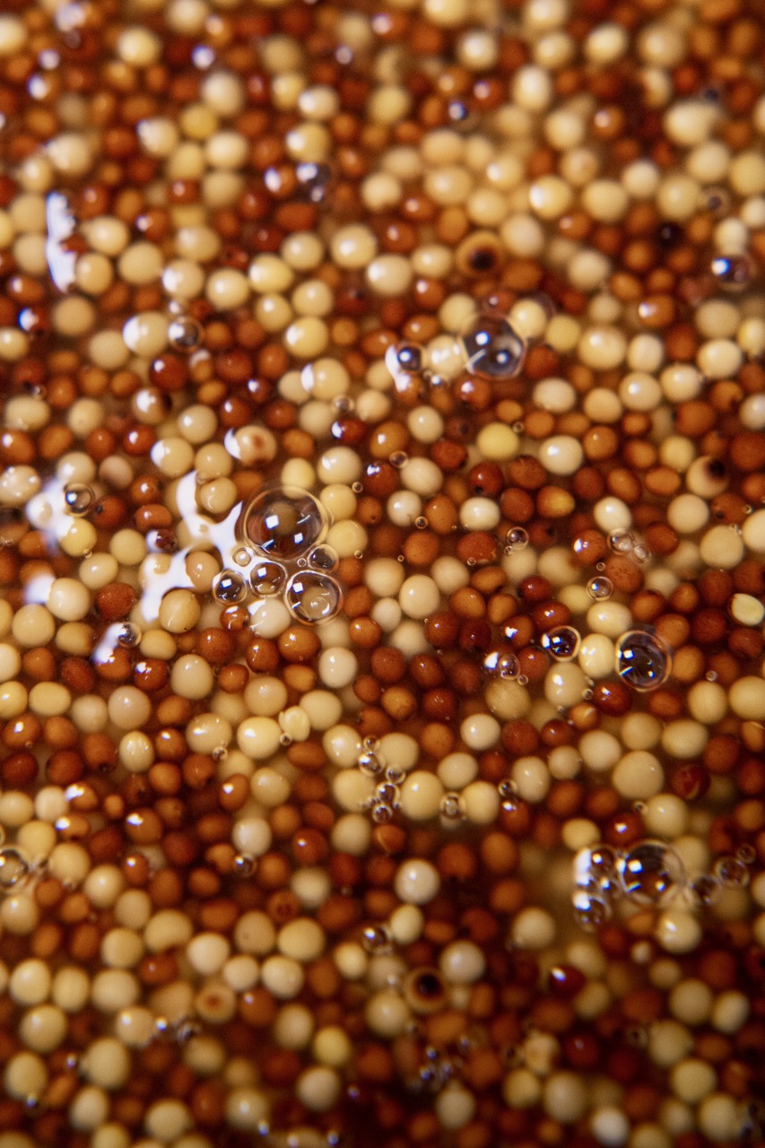 Raydiant Ferments Whole-Seed Fermented Mustard